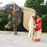 elephant orlando indian wedding