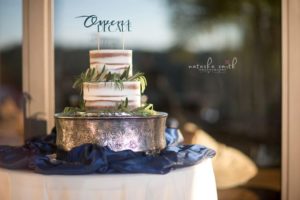 orlando wedding naked cake