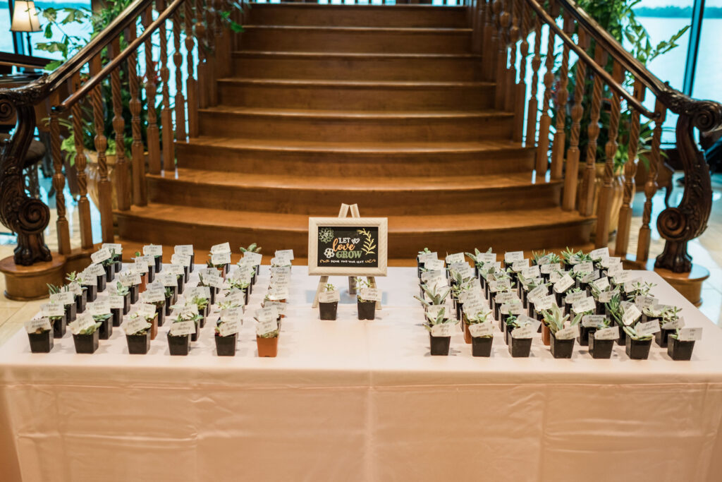 succulent idea wedding favors