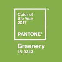 pantone color 2017 greenery